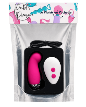 Œuf Vibrant Télécommandé 10 Modes Rose 1 dosette de lubrifiant — Pocket Pleasure