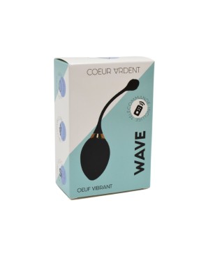 WAVE, Un Œuf vibrant noir USB avec télécommande, dans un silicone médical doux et lisse