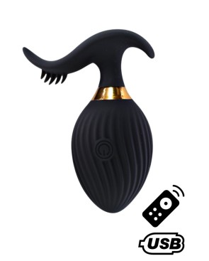 WAVE , Un Œuf vibrant noir USB avec stimulation clitoridienne, doté d'une télécommande