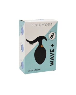WAVE , Un Œuf vibrant noir USB avec stimulation clitoridienne, doté d'une télécommande