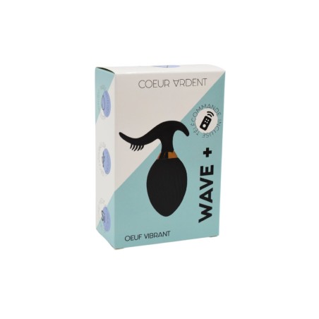 WAVE , Un Œuf vibrant noir USB avec stimulation clitoridienne, doté d'une télécommande