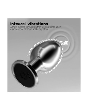 Plug vibrant acier inoxydable anal taille M avec télécommande, USB BOOTY