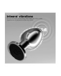 Plug vibrant acier inoxydable anal taille M avec télécommande, USB BOOTY
