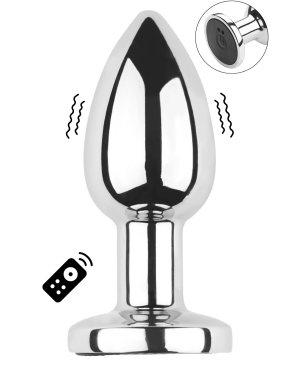 Plug vibrant acier inoxydable anal taille S avec télécommande, USB BOOTY