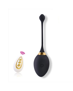 Œuf vibrant noir télécommandé USB noir