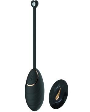 Œuf vibrant noir avec télécommande USB