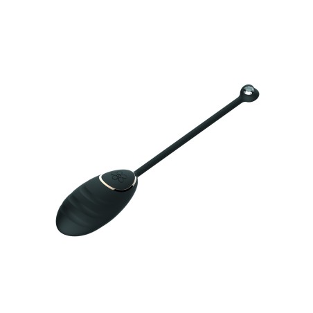 Œuf vibrant noir avec télécommande USB