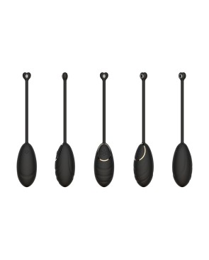 Œuf vibrant noir avec télécommande USB 