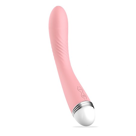 Vibromasseur rose vintage 10 vitesse USB