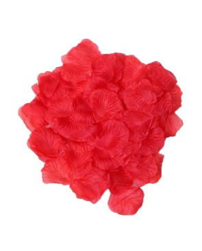 Pack de 100 Pétales de Rose
