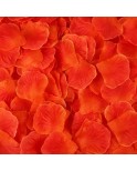 Pack de 100 Pétales de Rose