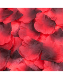 Pack de 100 Pétales de Rose