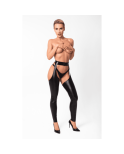 F323 Rebel wetlook chaps F323 Rebel wetlook chaps