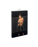 F323 Rebel wetlook chaps F323 Rebel wetlook chaps
