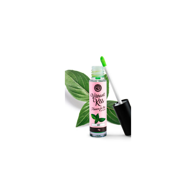 Brillant à lèvres Vibrant Menthe Brillant à lèvres Vibrant Menthe