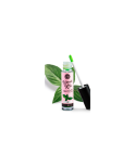 Brillant à lèvres Vibrant Menthe Brillant à lèvres Vibrant Menthe