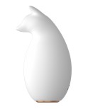 Stimulateur multifonction USB Renard Stimulateur multifonction USB Renard