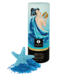 Sel de la mer morte aromatisé et moussant Océan de Tentations 500 gr Shunga Sel de la mer morte aromatisé et moussant Océan de Tentations 500 gr Shunga