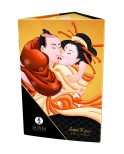 SHUNGA Ensemble doux baisers à partager à deux