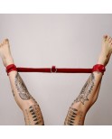 Barre de contrainte cuir et anneau Rouge Barre de contrainte cuir et anneau Rouge