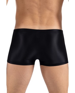 Boxer noir Daring