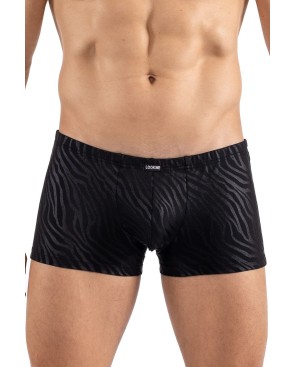 Boxer noir gold Zebra