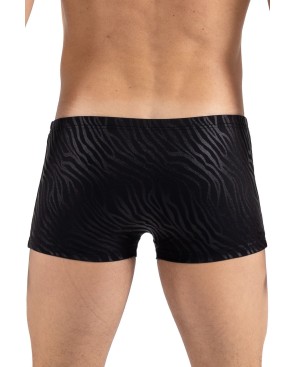 Boxer noir gold Zebra