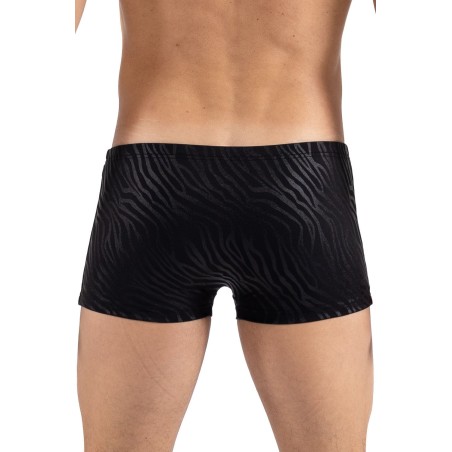Boxer noir gold Zebra