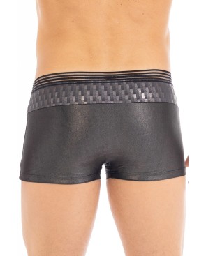 Boxer argenté Bright