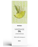 Huile de massage Citron vert 250 ml Satisfyer Huile de massage Citron vert 250 ml Satisfyer