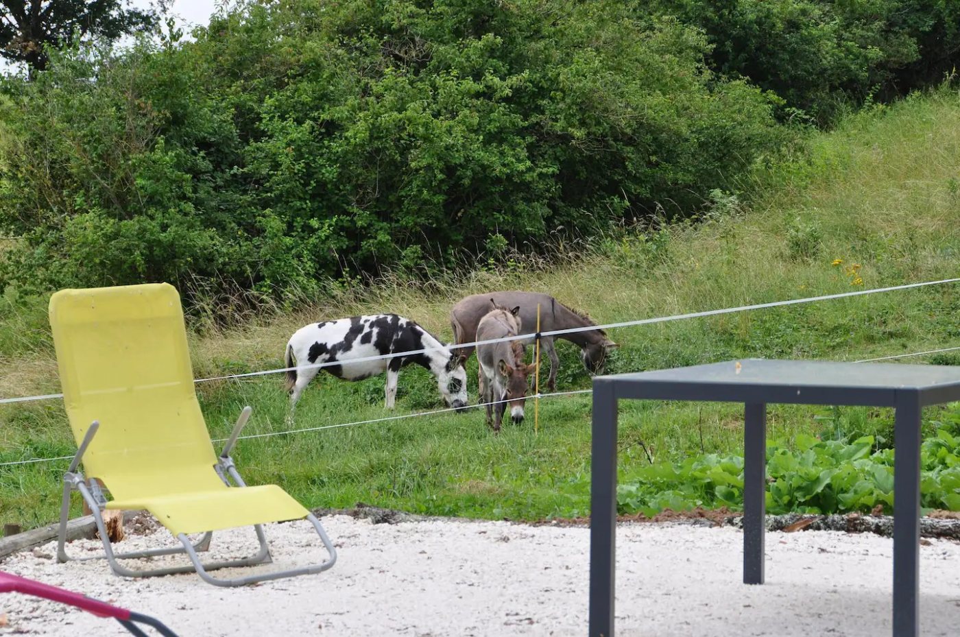 Photo du site de l’établissement