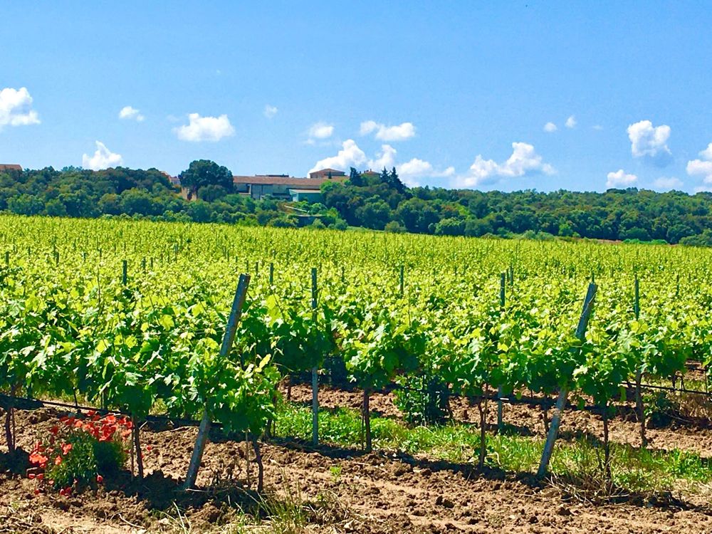 Photo Google Maps · Suite saint esteve
