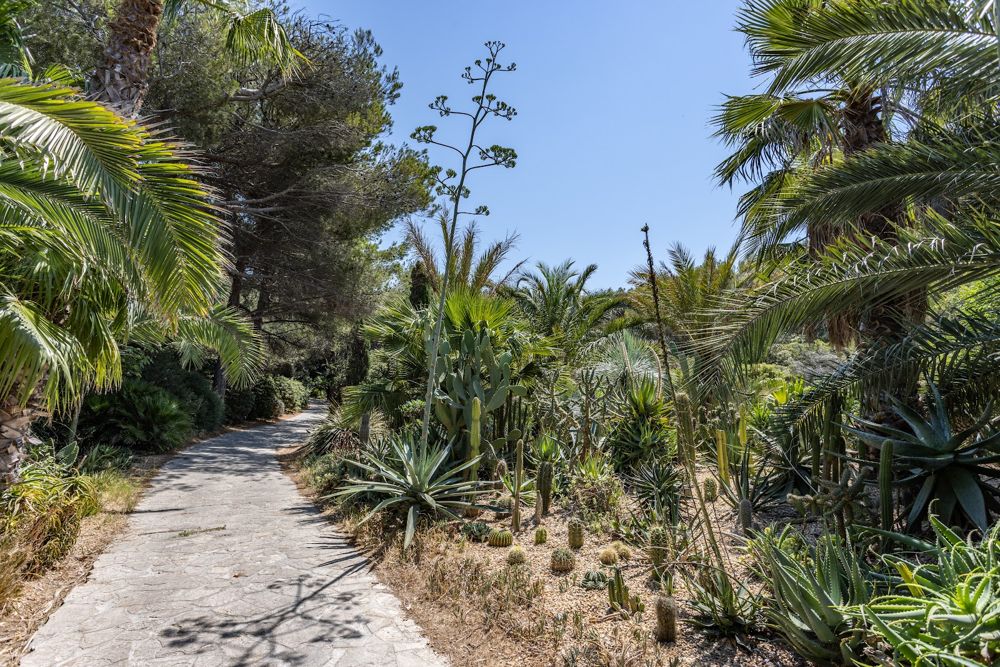Photo Google Maps · Villa Hippocampe