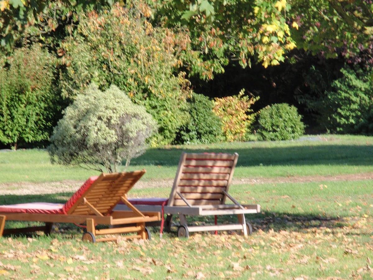 Photo Google Maps · Le Portail en Marais Poitevin