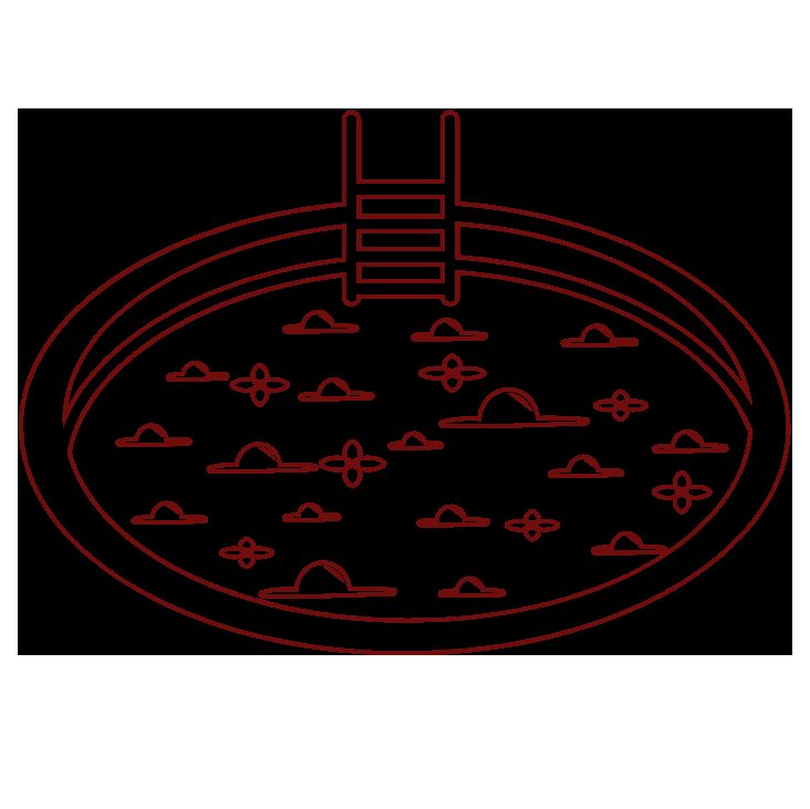 Photo du site de l’établissement