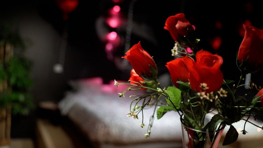 Loveroomeo (Red Room / Pink Room)