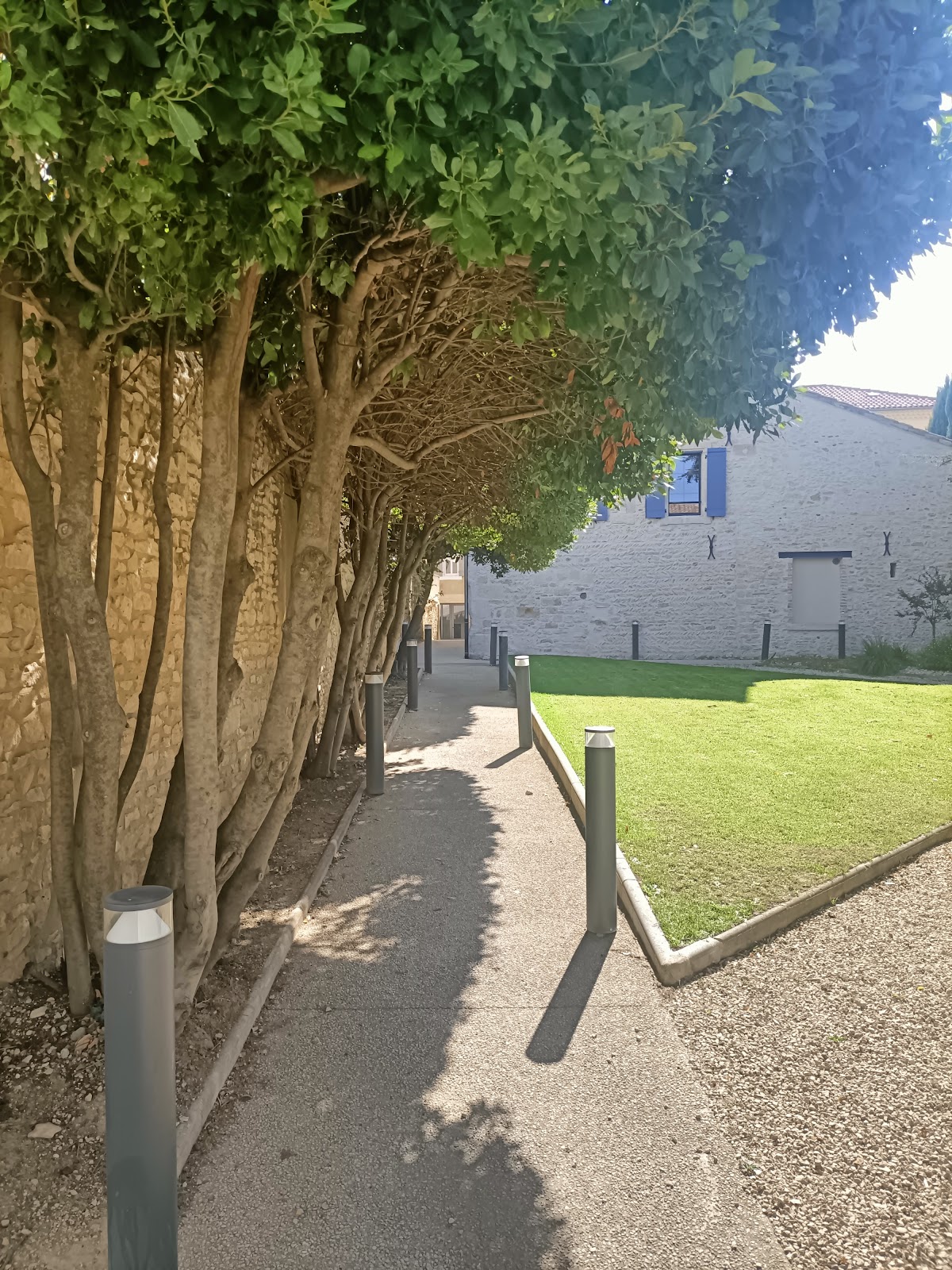 Photo Google Maps · Cédric PANDOLFI