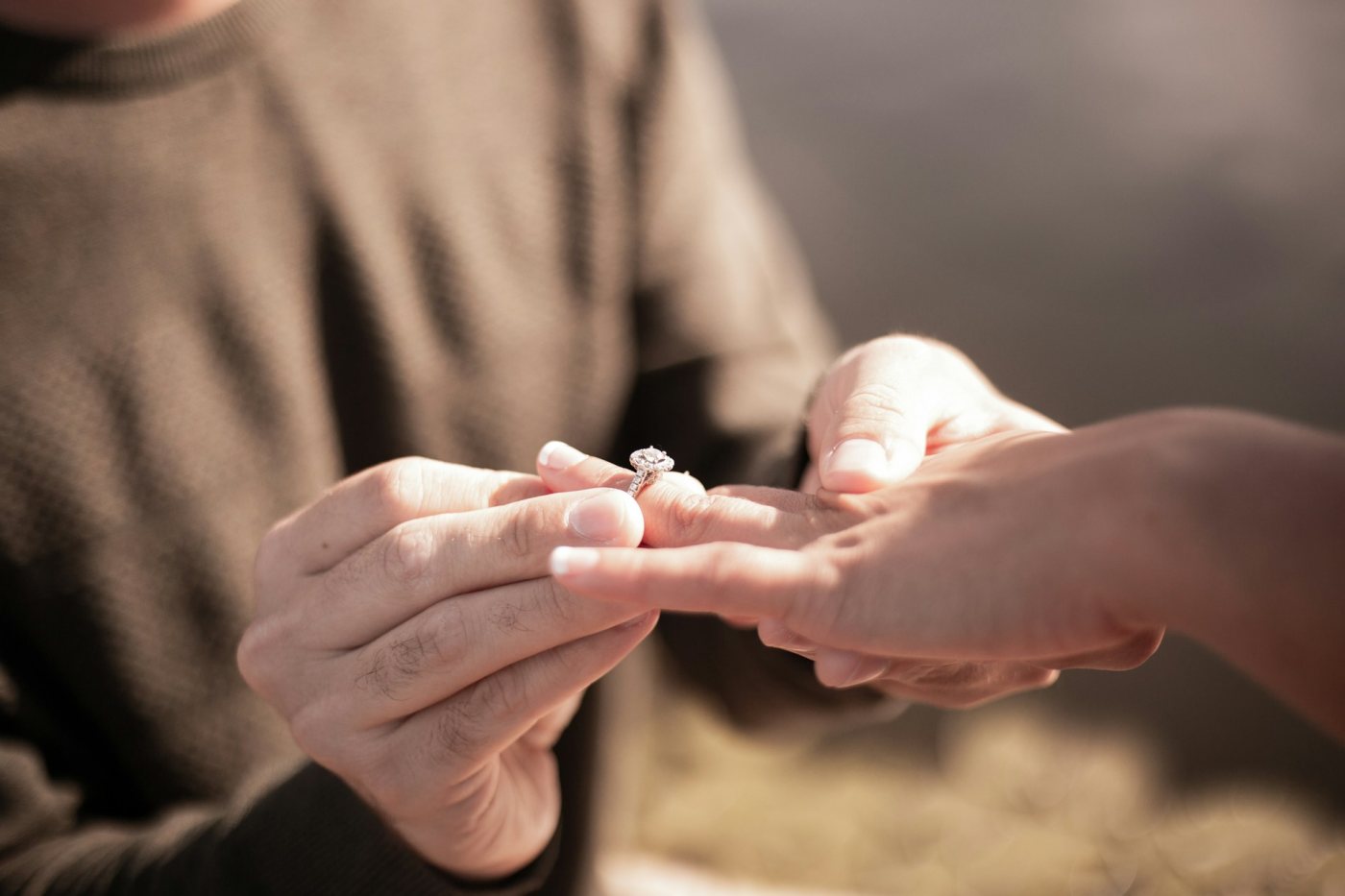 Photo du site de l’établissement