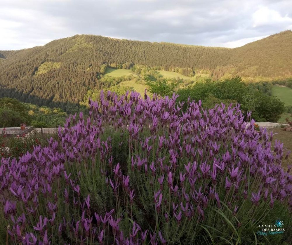 Photo Google Maps · La Villa des Raspes