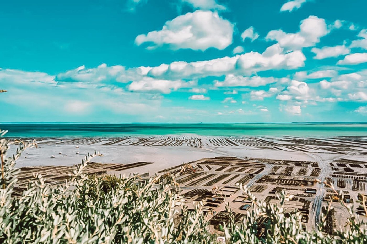 Photo du site de l’établissement