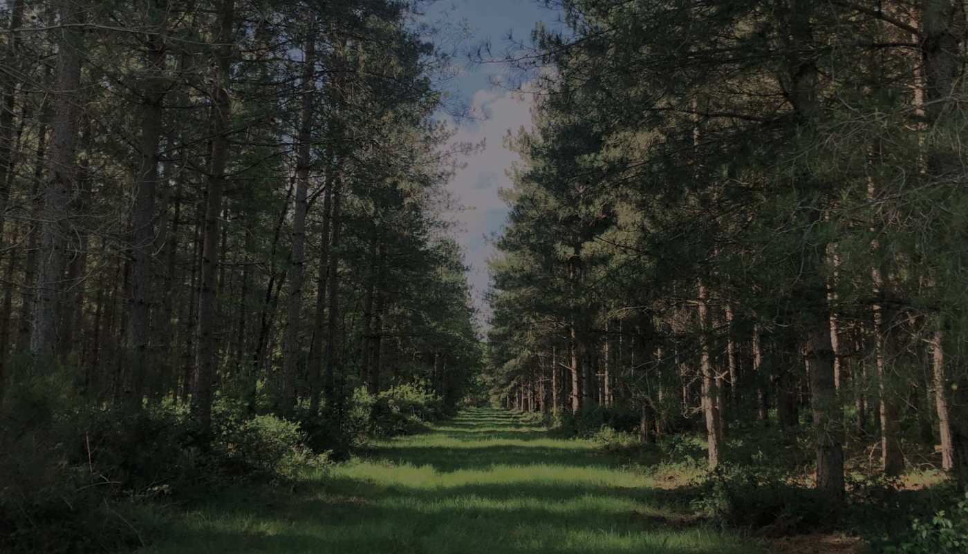 Photo du site de l’établissement