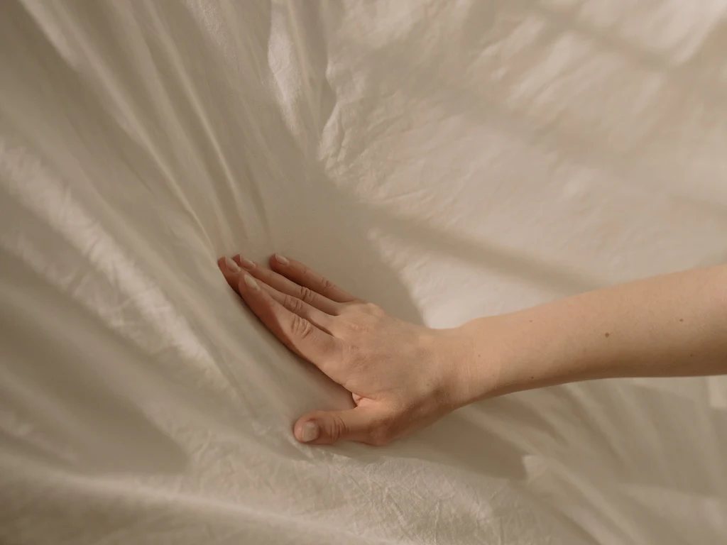 Photo du site de l’établissement