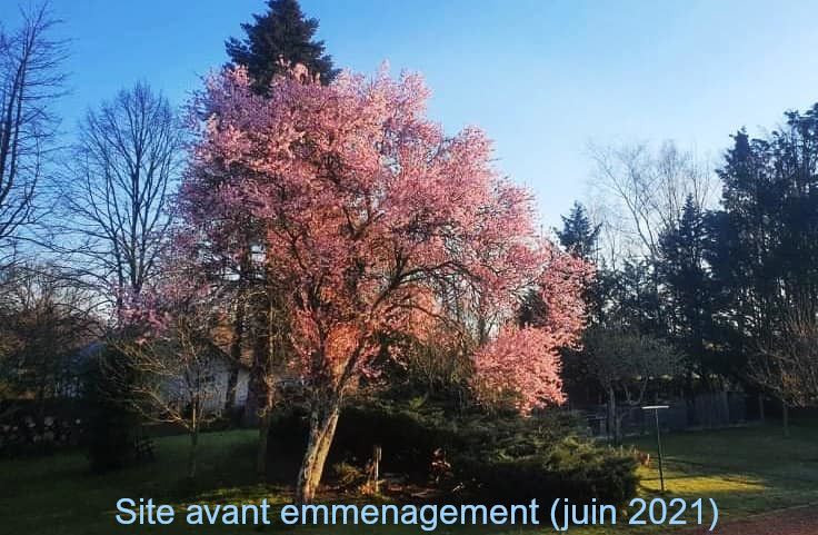 Photo Google Maps · Les Atypiques de Sologne