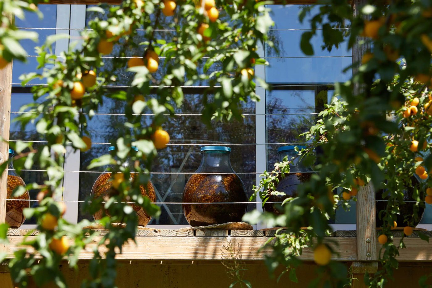 Photo du site de l’établissement