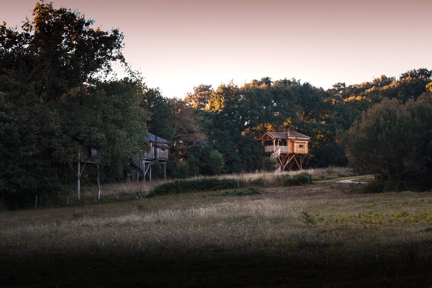 Photo du site de l’établissement
