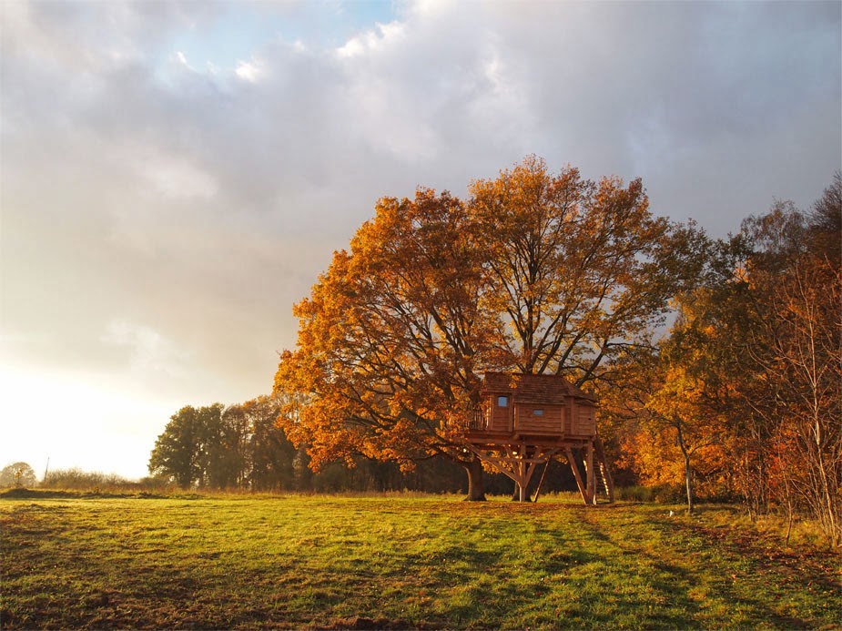 Photo Google Maps · La cabane du Perche, Cabanes & Spa en Normandie