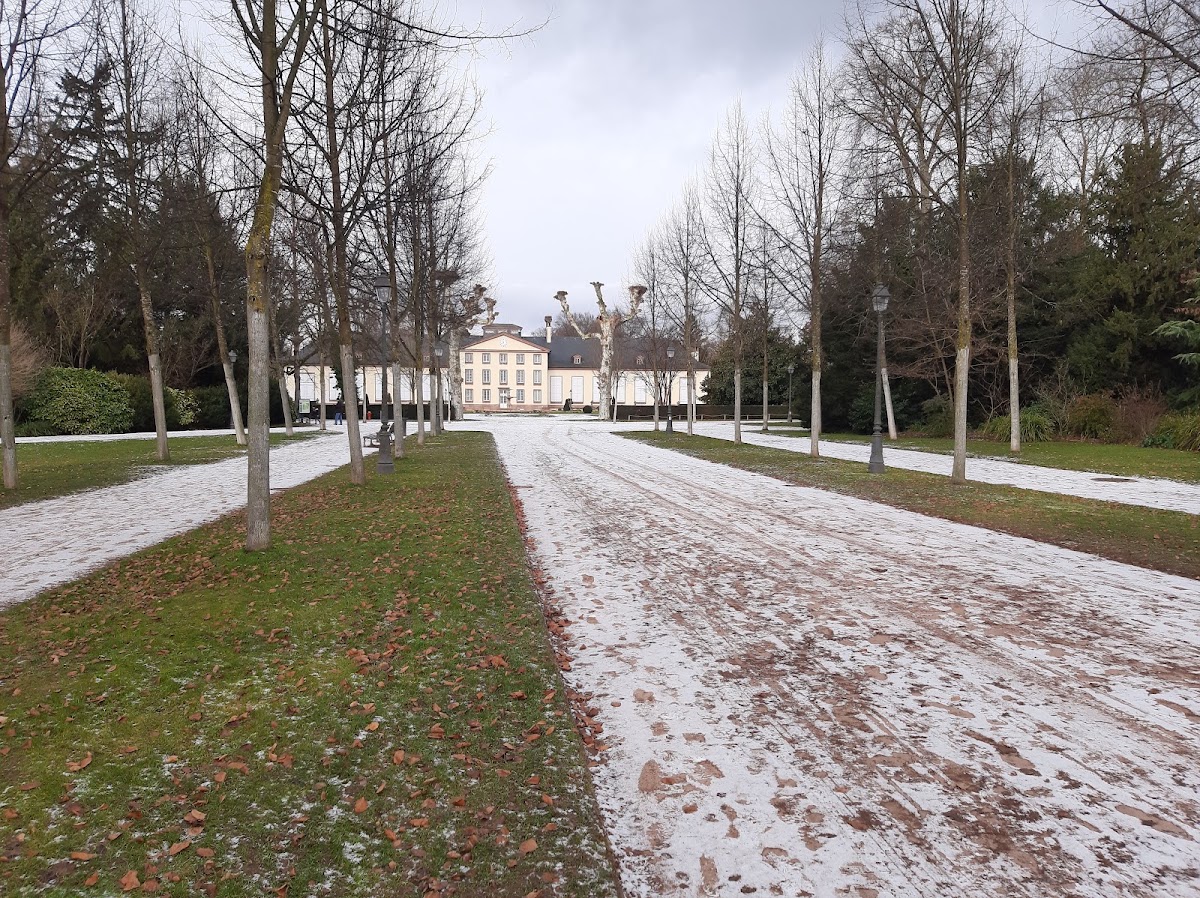 Photo Google Maps · Francesco Falaschi