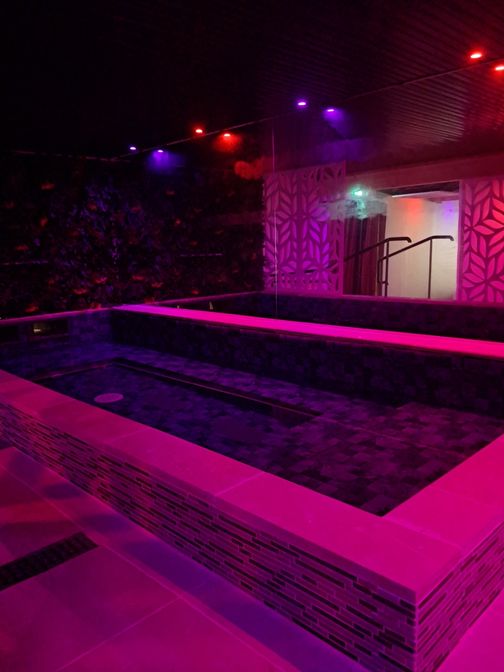 Delta Sauna Club